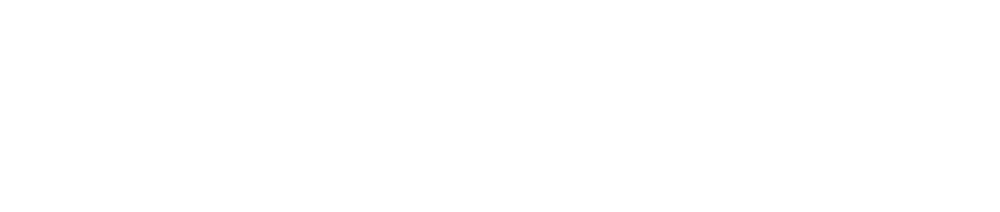 p4 logo