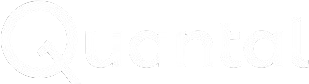 quantum lock logo